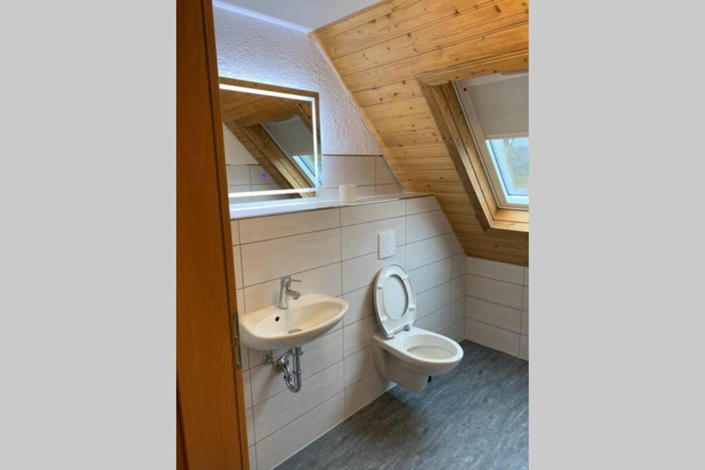 Bgi Wohnung Lahr  Exteriér fotografie